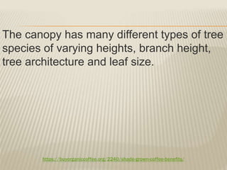 https://buyorganiccoffee.org/2240/shade-grown-coffee-benefits/
The canopy has many different types of tree
species of varying heights, branch height,
tree architecture and leaf size.
 