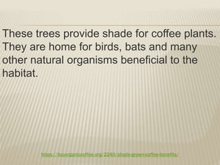 https://buyorganiccoffee.org/2240/shade-grown-coffee-benefits/
These trees provide shade for coffee plants.
They are home for birds, bats and many
other natural organisms beneficial to the
habitat.
 