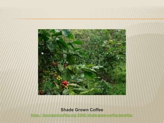 https://buyorganiccoffee.org/2240/shade-grown-coffee-benefits/
Shade Grown Coffee
 
