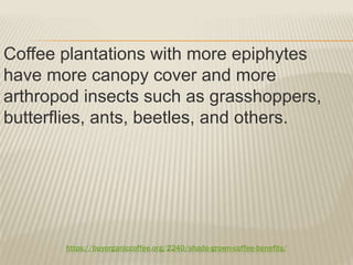 https://buyorganiccoffee.org/2240/shade-grown-coffee-benefits/
Coffee plantations with more epiphytes
have more canopy cover and more
arthropod insects such as grasshoppers,
butterflies, ants, beetles, and others.
 
