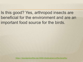 https://buyorganiccoffee.org/2240/shade-grown-coffee-benefits/
Is this good? Yes, arthropod insects are
beneficial for the environment and are an
important food source for the birds.
 