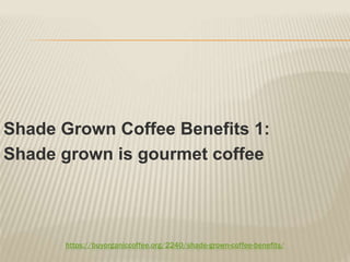 https://buyorganiccoffee.org/2240/shade-grown-coffee-benefits/
Shade Grown Coffee Benefits 1:
Shade grown is gourmet coffee
 