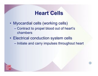 Heart Cells
•  Myocardial cells (working cells)
– Contract to propel blood out of heart’s
chambers
•  Electrical conduction system cells
– Initiate and carry impulses throughout heart
I
 