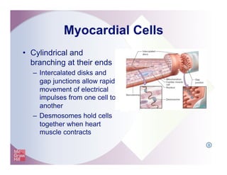 Myocardial Cells
•  Cylindrical and
branching at their ends
–  Intercalated disks and
gap junctions allow rapid
movement of electrical
impulses from one cell to
another
–  Desmosomes hold cells
together when heart
muscle contracts
I
 