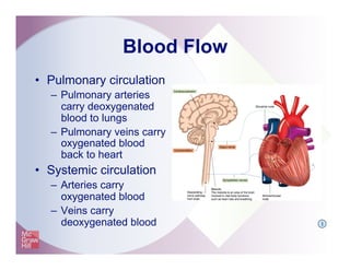 Blood Flow
•  Pulmonary circulation
–  Pulmonary arteries
carry deoxygenated
blood to lungs
–  Pulmonary veins carry
oxygenated blood
back to heart
•  Systemic circulation
–  Arteries carry
oxygenated blood
–  Veins carry
deoxygenated blood I
 