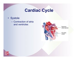 Cardiac Cycle
•  Systole
–  Contraction of atria
and ventricles
 