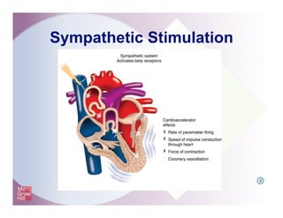 Sympathetic Stimulation
I
 