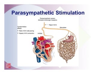 Parasympathetic Stimulation
 
