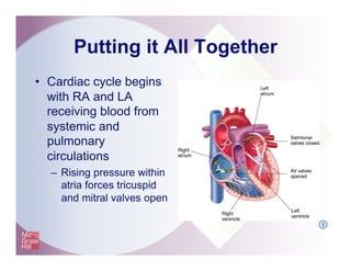 Putting it All Together
•  Cardiac cycle begins
with RA and LA
receiving blood from
systemic and
pulmonary
circulations
–  Rising pressure within
atria forces tricuspid
and mitral valves open
I
 