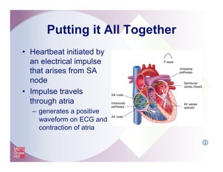 Putting it All Together
•  Heartbeat initiated by
an electrical impulse
that arises from SA
node
•  Impulse travels
through atria
–  generates a positive
waveform on ECG and
contraction of atria
I
 