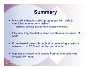 Summary
•  Myocardial depolarization progresses from atria to
ventricles in an orderly fashion.
–  Electrical stimulus causes heart muscle to contract.
•  Electrical impulse that initiates heartbeat arises from SA
node.
•  From there it travels through atria generating a positive
waveform on ECG and contraction of atria.
•  Impulse is slowed as it passes from atria to ventricles
through AV node.
 