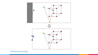 Primitive Processing
 