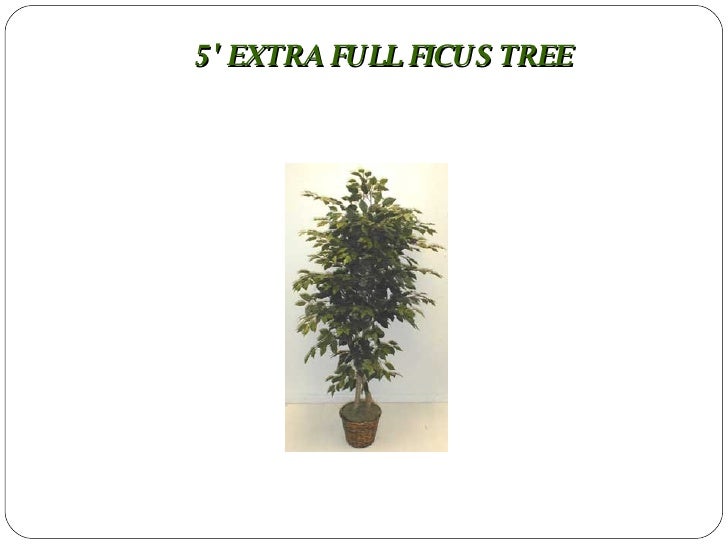 Shades of Green Silk Plants