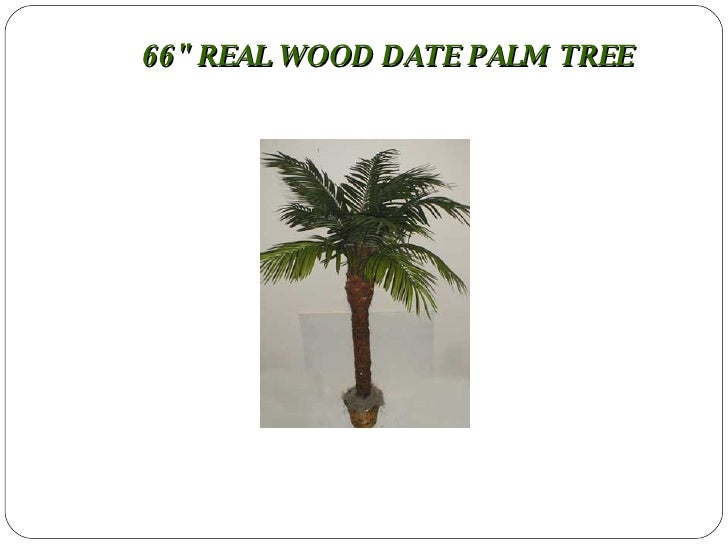 Shades of Green Silk Plants