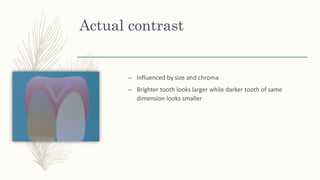 Actual contrast
– Influenced by size and chroma
– Brighter tooth looks larger while darker tooth of same
dimension looks smaller
 