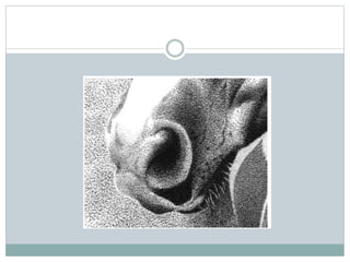 shading 01.pptx