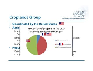 Global Research Alliance for Agricultural Greenhouse Gasses