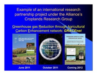 Global Research Alliance for Agricultural Greenhouse Gasses