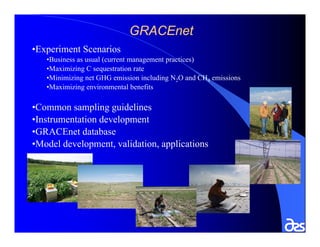 Global Research Alliance for Agricultural Greenhouse Gasses