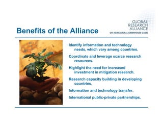 Global Research Alliance for Agricultural Greenhouse Gasses