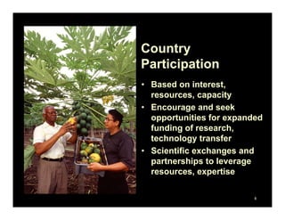 Global Research Alliance for Agricultural Greenhouse Gasses