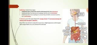 Prepared by: Shafaq Mutlaq 