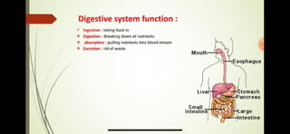 Prepared by: Shafaq Mutlaq 