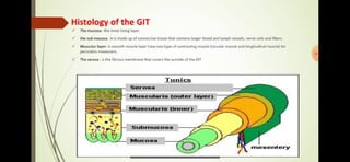 Prepared by: Shafaq Mutlaq 