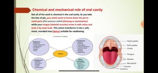 Prepared by: Shafaq Mutlaq 