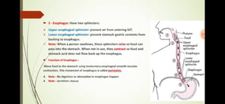 Prepared by: Shafaq Mutlaq 