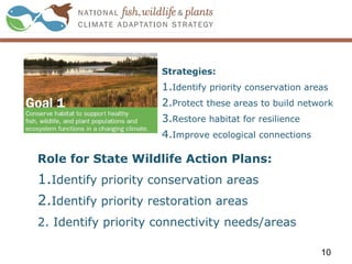 Strategies:
1.Identify priority conservation areas
2.Protect these areas to build network
3.Restore habitat for resilience
4.Improve ecological connections
10
Role for State Wildlife Action Plans:
1.Identify priority conservation areas
2.Identify priority restoration areas
2. Identify priority connectivity needs/areas
 