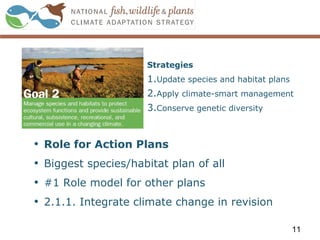 Strategies
1.Update species and habitat plans
2.Apply climate-smart management
3.Conserve genetic diversity
11
• Role for Action Plans
• Biggest species/habitat plan of all
• #1 Role model for other plans
• 2.1.1. Integrate climate change in revision
 