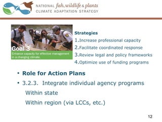 Strategies
1.Increase professional capacity
2.Facilitate coordinated response
3.Review legal and policy frameworks
4.Optimize use of funding programs
12
• Role for Action Plans
• 3.2.3. Integrate individual agency programs
Within state
Within region (via LCCs, etc.)
 