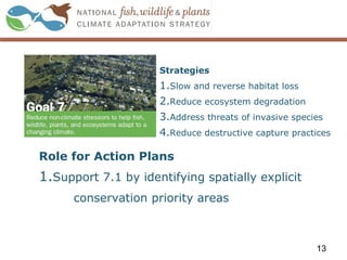 Strategies
1.Slow and reverse habitat loss
2.Reduce ecosystem degradation
3.Address threats of invasive species
4.Reduce destructive capture practices
13
Role for Action Plans
1.Support 7.1 by identifying spatially explicit
conservation priority areas
 