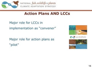 Action Plans AND LCCs
14
Major role for LCCs in
implementation as “convener”
Major role for action plans as
“pilot”
 