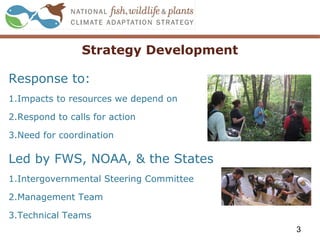 Strategy Development
Response to:
1.Impacts to resources we depend on
2.Respond to calls for action
3.Need for coordination
Led by FWS, NOAA, & the States
1.Intergovernmental Steering Committee
2.Management Team
3.Technical Teams
3
 