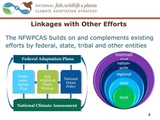 Linkages with Other Efforts
The NFWPCAS builds on and complements existing
efforts by federal, state, tribal and other entities
4
Federal Adaptation Plans
National Climate AssessmentNational Climate Assessment
Fresh-
water
Action
Plan
Fresh-
water
Action
Plan
National
Ocean
Policy
National
Ocean
Policy
Fish
Wildlife &
Plants
Strategy
Fish
Wildlife &
Plants
Strategy
 