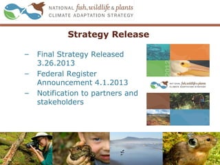 Strategy Release
– Final Strategy Released
3.26.2013
– Federal Register
Announcement 4.1.2013
– Notification to partners and
stakeholders
5
 