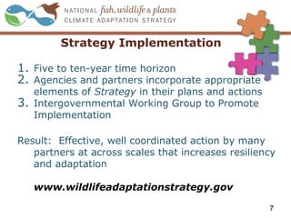 Strategy Implementation
1. Five to ten-year time horizon
2. Agencies and partners incorporate appropriate
elements of Strategy in their plans and actions
3. Intergovernmental Working Group to Promote
Implementation
Result: Effective, well coordinated action by many
partners at across scales that increases resiliency
and adaptation
www.wildlifeadaptationstrategy.gov
7
 