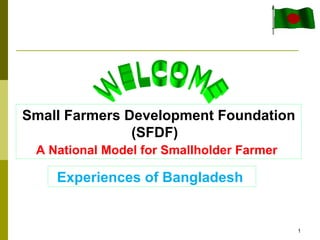Small Farmers Development Foundation
               (SFDF)
 A National Model for Smallholder Farmer

    Experiences of Bangladesh


                                           1
 