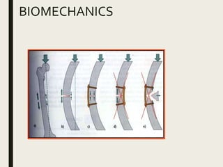 BIOMECHANICS
 