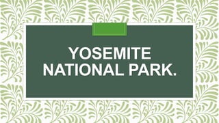 YOSEMITE
NATIONAL PARK.
 