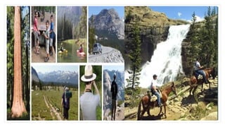 Activities:
• In Yosemite National Park, couple activities you can occupy
yourself with are hiking, camping, fishing, horseback riding ,
rock climbing, etc.
 