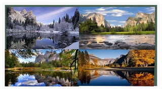 Weather:
The weather throughout the year in
Yosemite National Park is based on the
seasons, like here in Michigan. But there in
the winter its snows a ton!
 