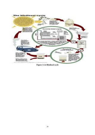 20
Figure 3.1.6 Biodiesel cycle
 