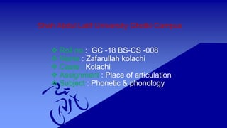 Shah Abdul Latif University Ghotki Campus
 Roll no : GC -18 BS-CS -008
 Name : Zafarullah kolachi
 Caste : Kolachi
 Assignment : Place of articulation
 Subject : Phonetic & phonology
 