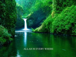 ALLAH IS EVERY WHERE
 