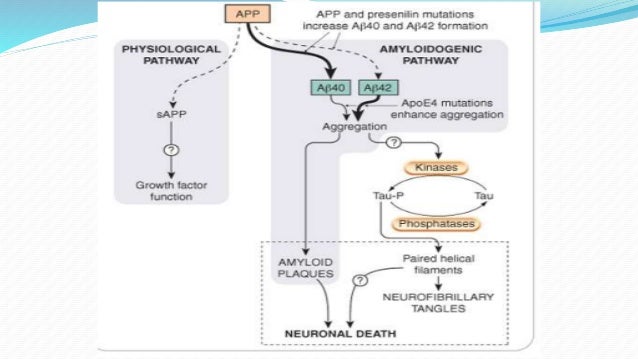 Exelon patch to oral conversion