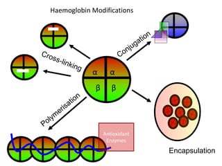 α α
β β
Haemoglobin Modifications
Antioxidant
Enzymes
Encapsulation
 