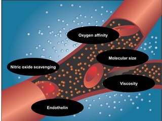 Vasoconstriction
Nitric oxide scavenging
Molecular size
Endothelin
Viscosity
Oxygen affinity
 